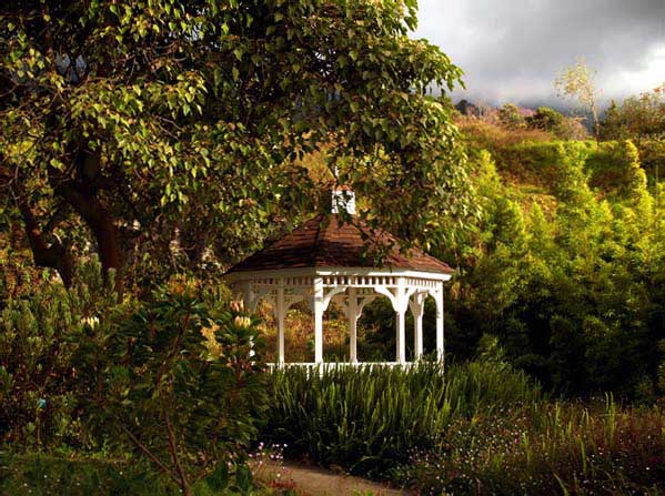 Maui Weddings At Kula Botanical Gardens